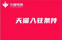 天貓代運營需要什么資質